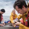 Mussel Tagging 