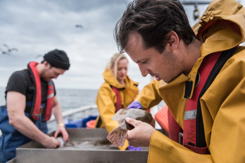 Mussel Tagging 