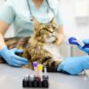 Laboratory Animals