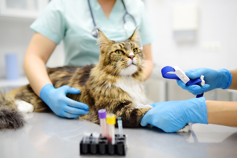 Laboratory Animals