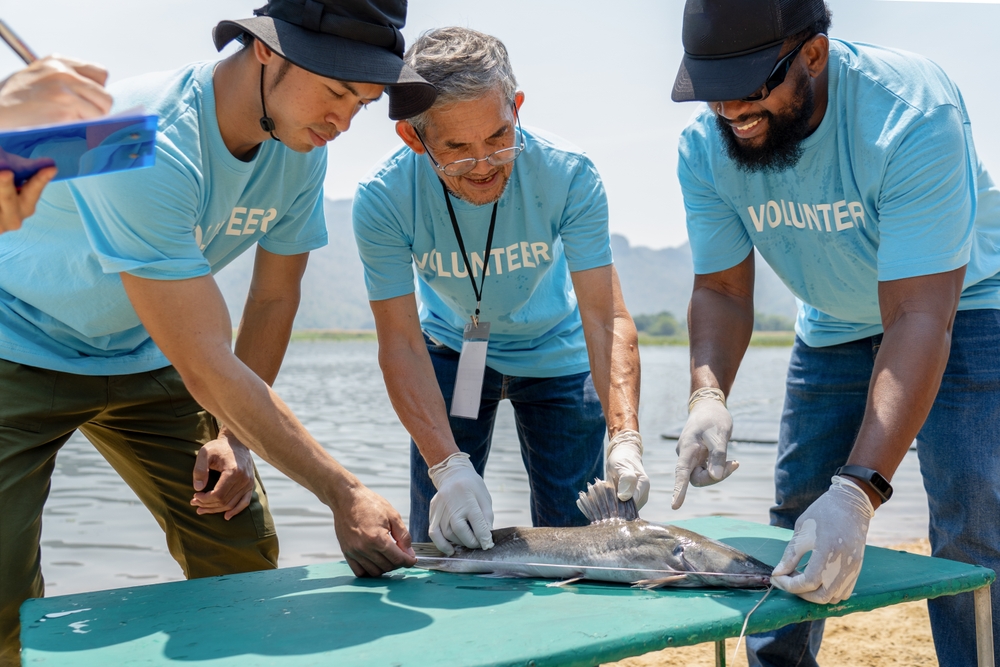 Getting Anglers involved examples