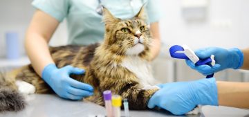 Laboratory Animals