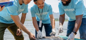 Getting Anglers involved examples